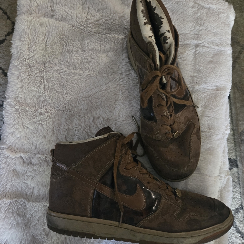 Nike Dunk High Premium 'Mighty Crown' Bison Edition 2006 Vintage Size 12